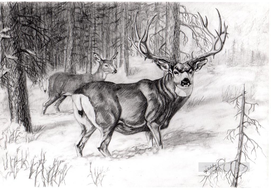 dibujo a lápiz de ciervo en blanco y negro Pintura al óleo